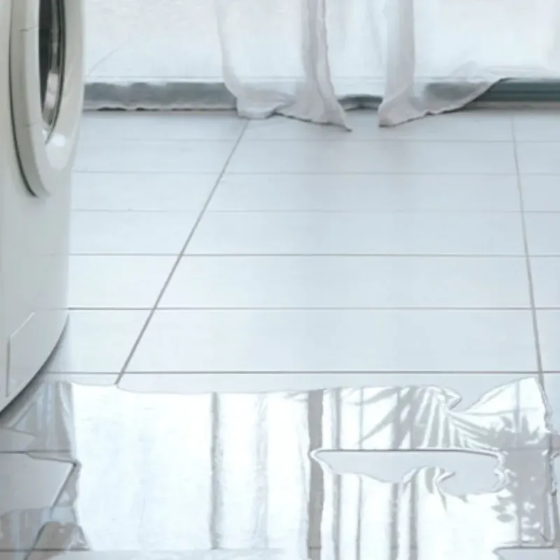 Appliance Leak Cleanup in Goldenrod, FL